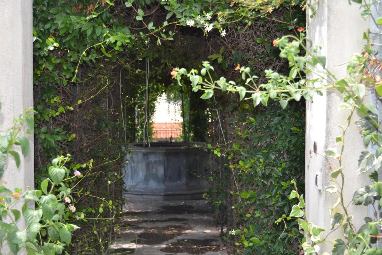 I Giardini Del Vesuvio Villa Somma Vesuviana Ngoại thất bức ảnh